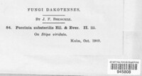 Image Associated With the Occurence